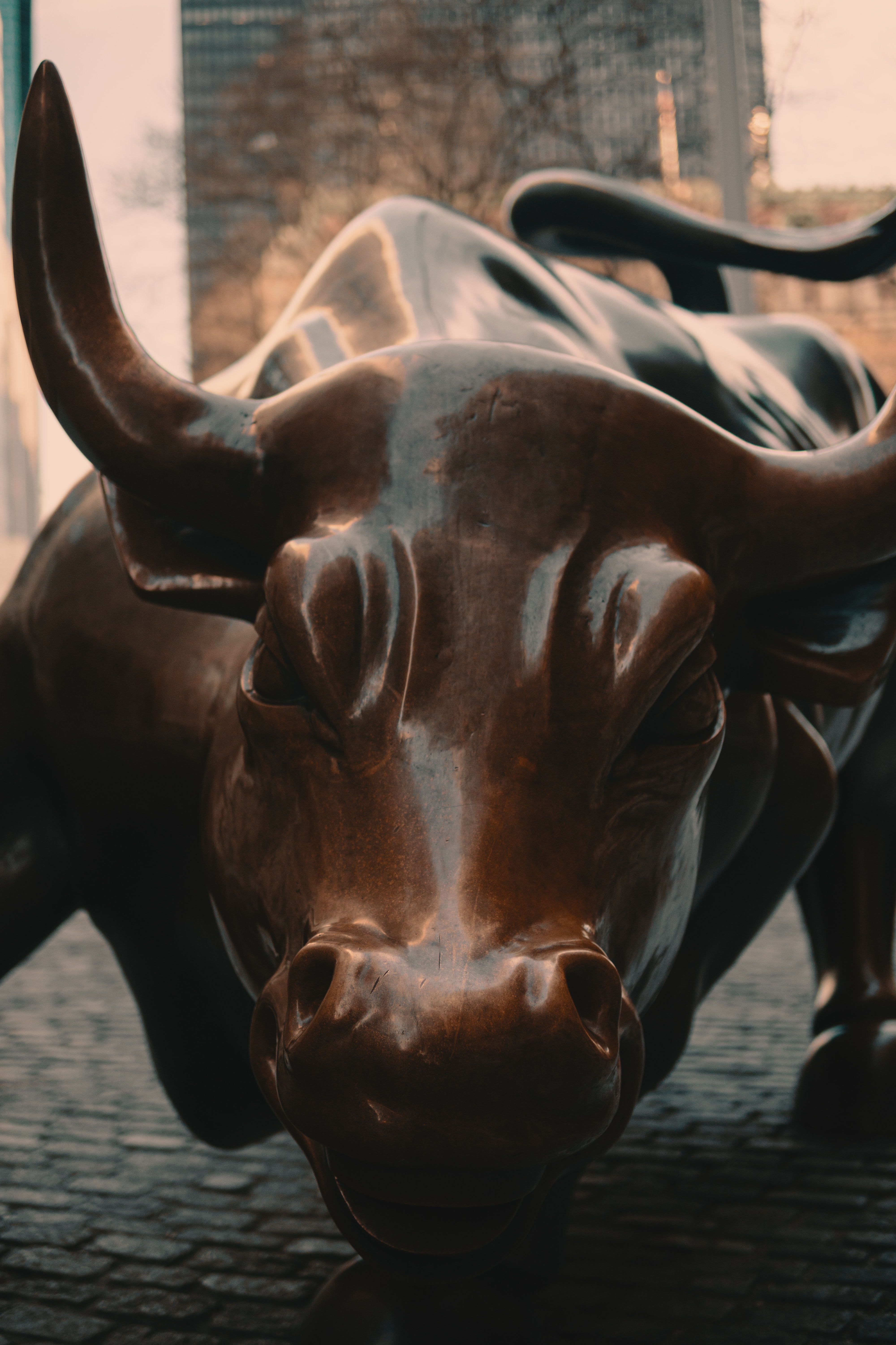 image from Project 7: Stock Sentiment Analysis