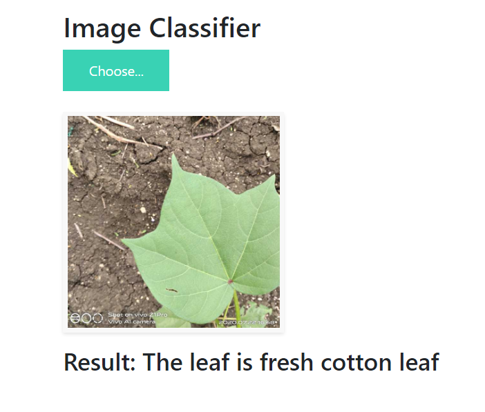 image from Project 4: Cotton Disease Prediction Project With Deep Learning